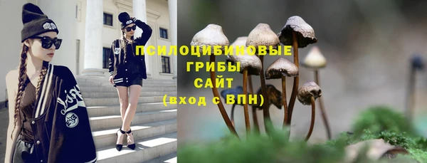 Альфа ПВП Россошь