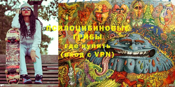 круглые Алзамай